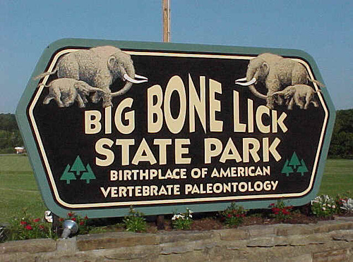 bonelick.jpg