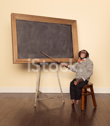 57634458-chimpanzee-professor-at-the-chalkboard.jpg