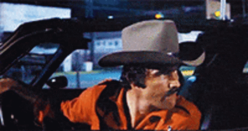 bandit-burt-reynolds.gif