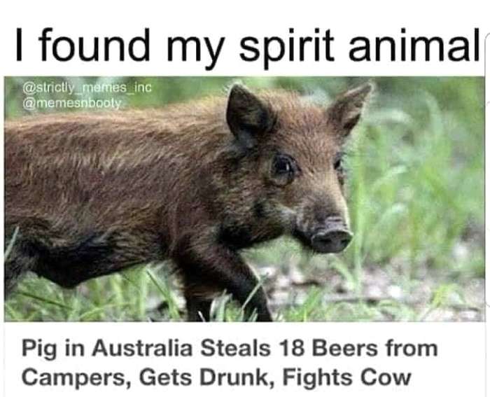 6f24666f7fb1df17-jpeg.92177