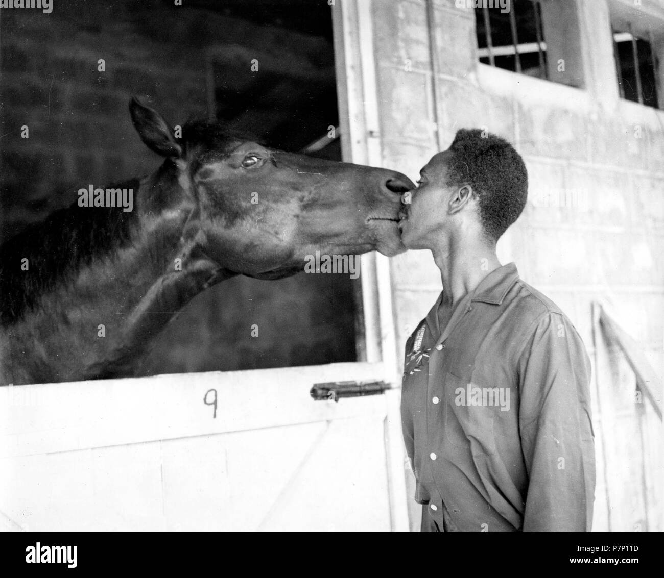 man-kissing-a-horse-mexico-city-mexico-P7P11D.jpg