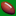 www.footballforumsguide.com