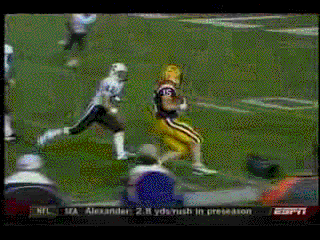 LSU.gif