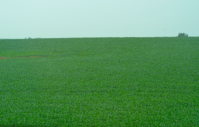 iowa.jpg
