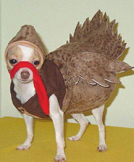 turkey-dog.jpg