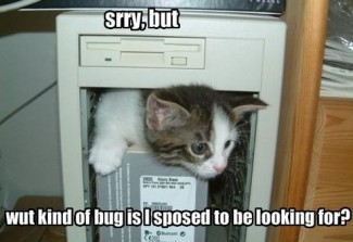 funny-pictures-kitten-looks-for-bugs-in-your-computer-e1277209924987.jpg