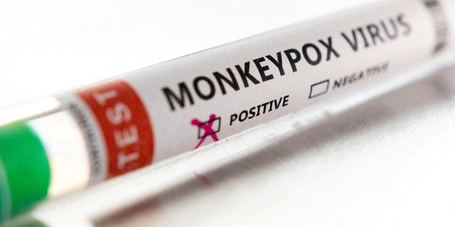 Monkeypox-Virus.jpg