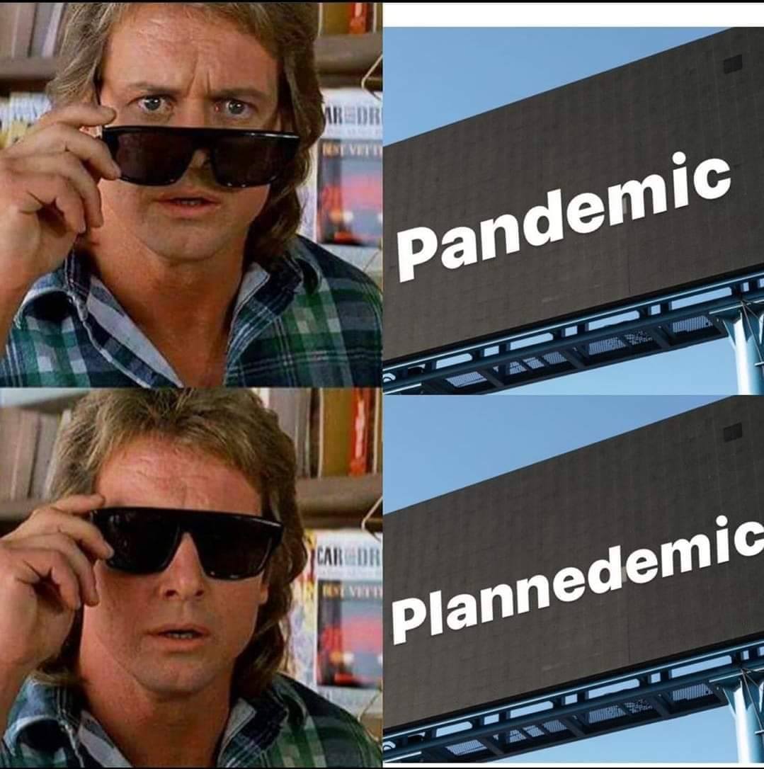 Plandemic.jpg