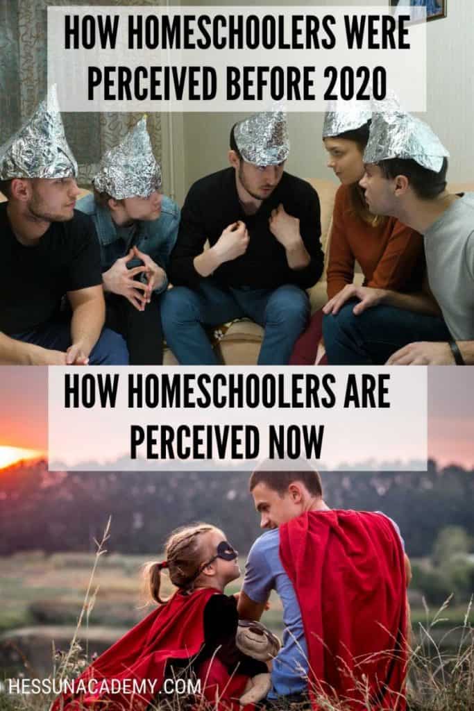 How-homeschoolers-were-perceived-before-2020-683x1024.jpg