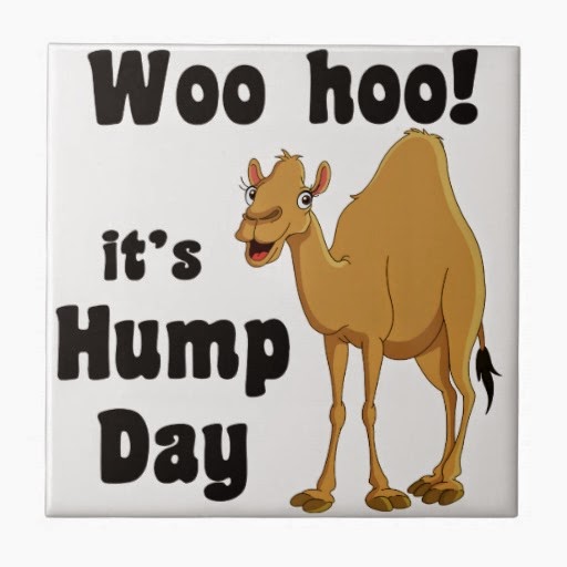 Hump-Day-Happy.jpg