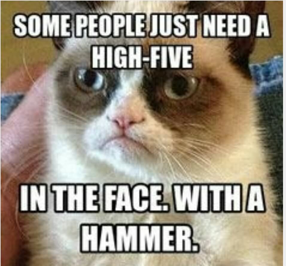 Some-People-Just-Need-A-High-Five-In-The-Face-With-A-Hammer-Funny-Insult-Meme-Photo.jpg