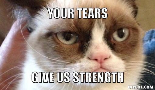 domainku-com-bfr-grumpy-cat-meme-generator-your-tears_zps471c5cbf.jpg