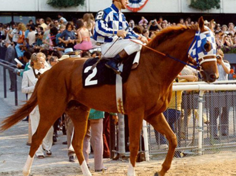 secretariat%20color.c353d2d6890554f1bc6d5d952f5c905c.jpg