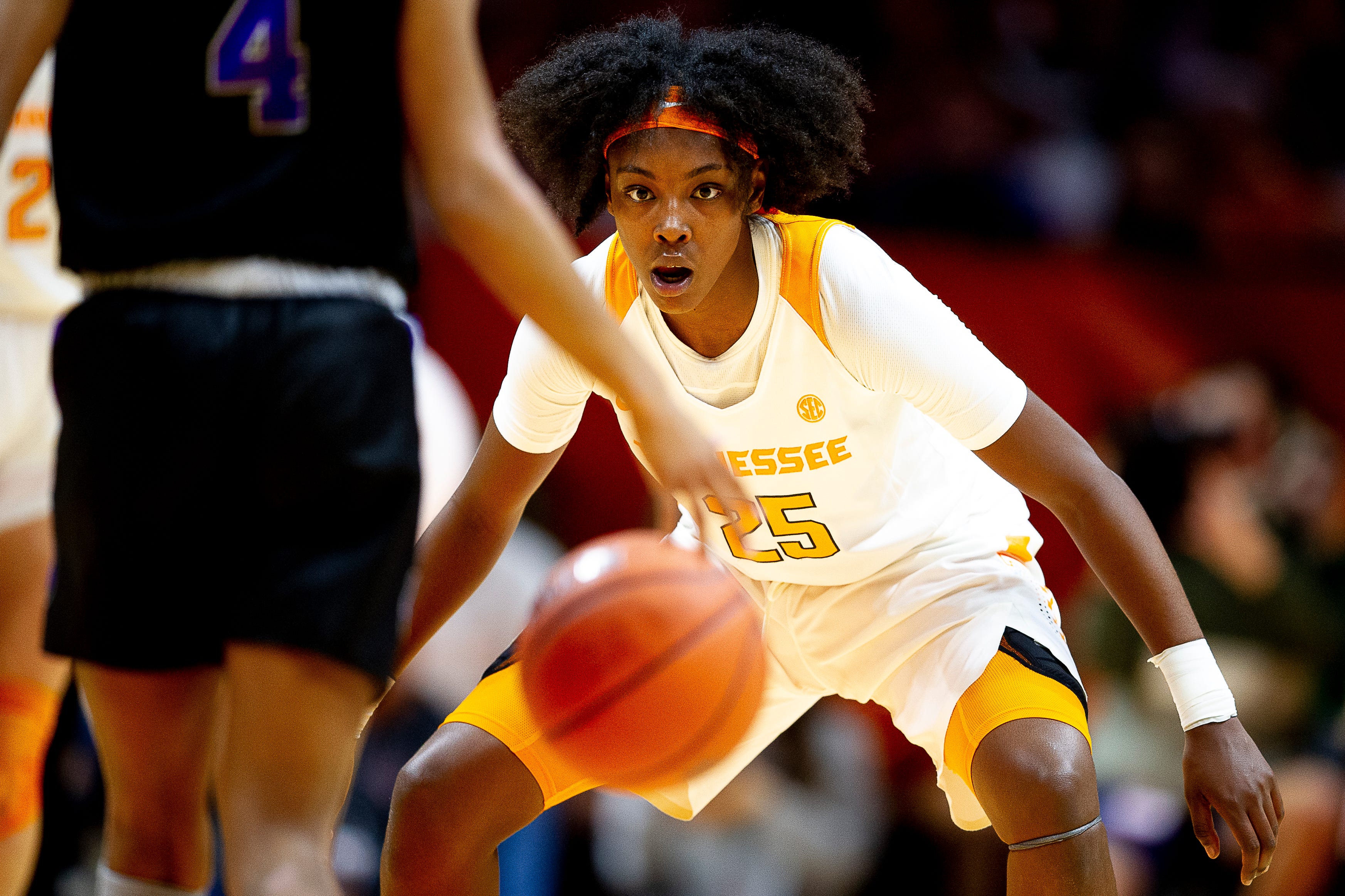 624103d3-fc31-4539-9786-f1f8fb26c8f1-KNS-Lady_Vols_Central_Arkansas_86.JPG