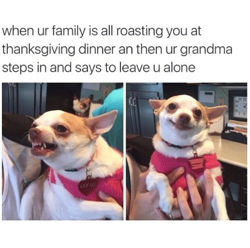 funny-thanksgiving-memes-grandma.jpg